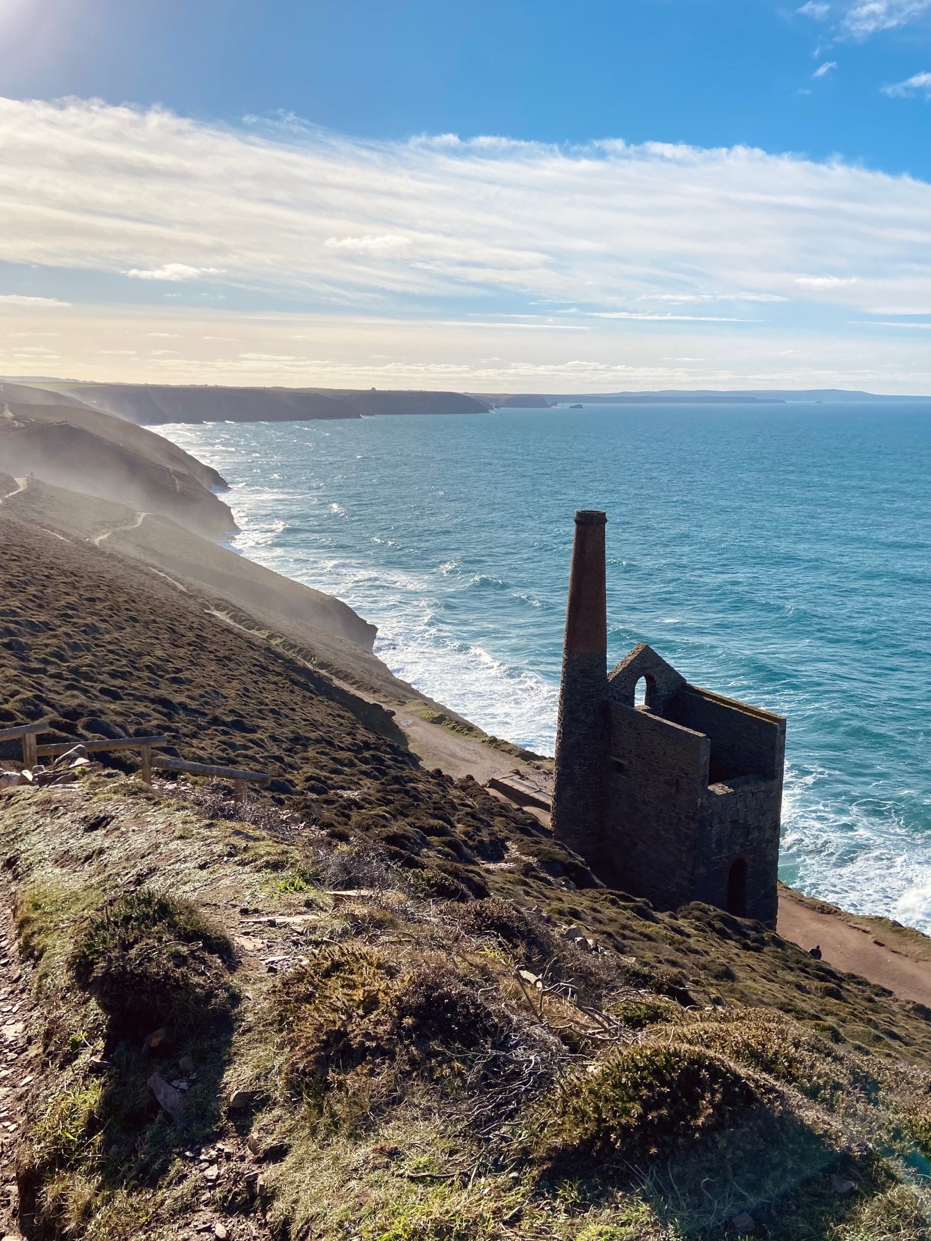 Critical Minerals for the GeoEnergy Transition (G503)